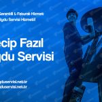 Necip Fazıl Uydu Servisi